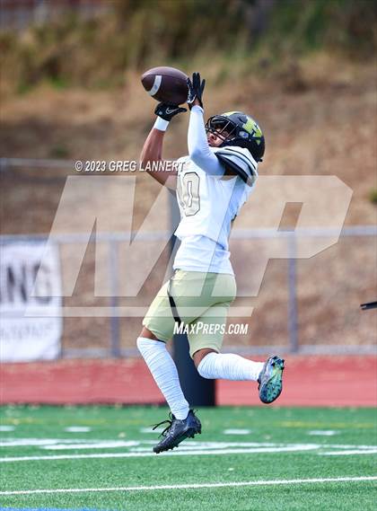 Thumbnail 3 in Hayward @ Novato photogallery.