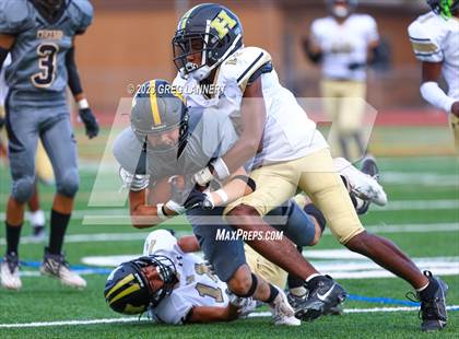 Thumbnail 3 in Hayward @ Novato photogallery.