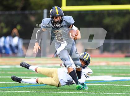 Thumbnail 3 in Hayward @ Novato photogallery.