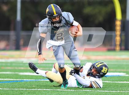 Thumbnail 1 in Hayward @ Novato photogallery.