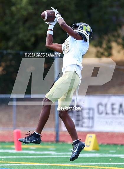 Thumbnail 2 in Hayward @ Novato photogallery.