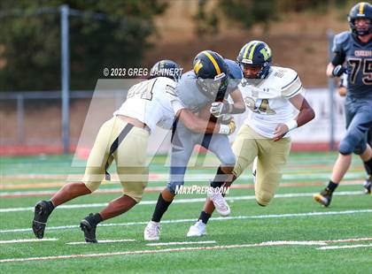 Thumbnail 1 in Hayward @ Novato photogallery.