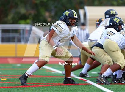 Thumbnail 2 in Hayward @ Novato photogallery.