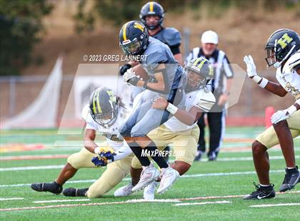 Thumbnail 2 in Hayward @ Novato photogallery.