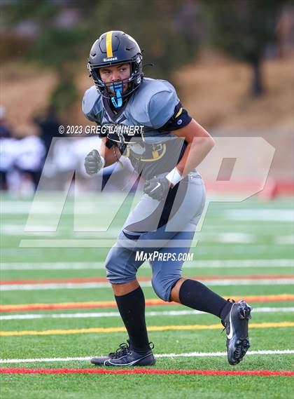 Thumbnail 1 in Hayward @ Novato photogallery.
