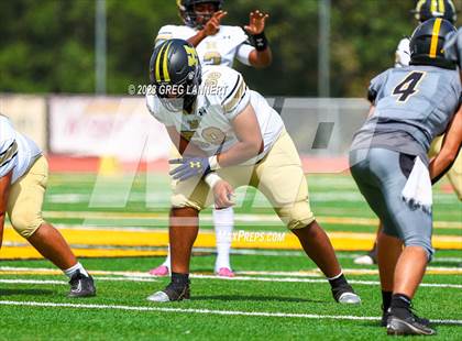 Thumbnail 1 in Hayward @ Novato photogallery.