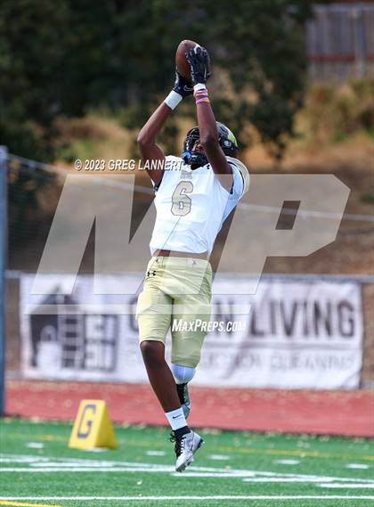 Thumbnail 1 in Hayward @ Novato photogallery.