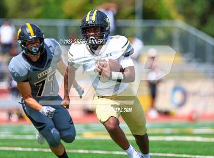 Thumbnail 1 in Hayward @ Novato photogallery.