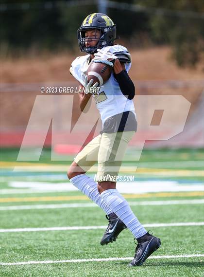 Thumbnail 2 in Hayward @ Novato photogallery.