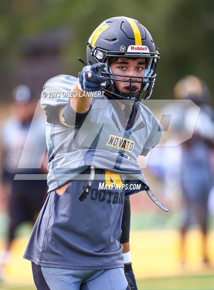 Thumbnail 1 in Hayward @ Novato photogallery.