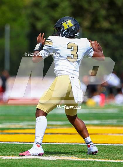 Thumbnail 1 in Hayward @ Novato photogallery.