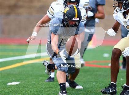 Thumbnail 1 in Hayward @ Novato photogallery.