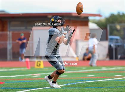 Thumbnail 1 in Hayward @ Novato photogallery.