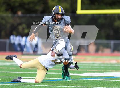 Thumbnail 2 in Hayward @ Novato photogallery.