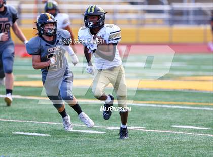 Thumbnail 1 in Hayward @ Novato photogallery.