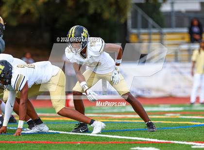 Thumbnail 1 in Hayward @ Novato photogallery.