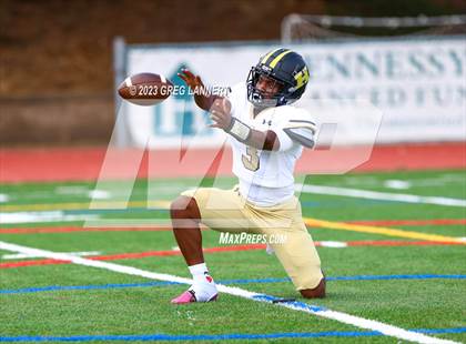 Thumbnail 1 in Hayward @ Novato photogallery.