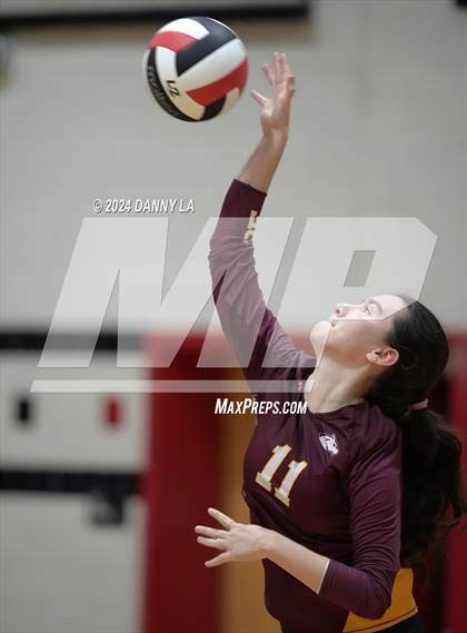 Thumbnail 1 in Oakton @ James Madison photogallery.