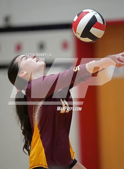 Thumbnail 1 in Oakton @ James Madison photogallery.