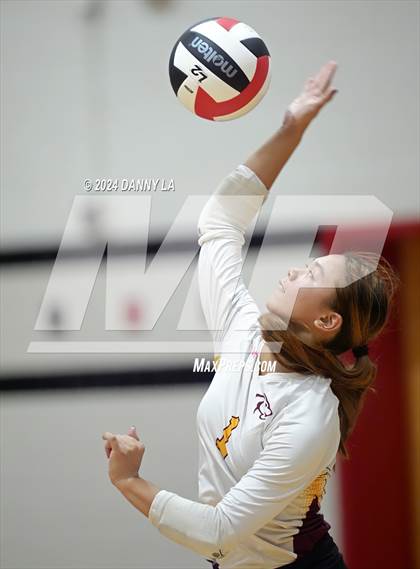 Thumbnail 2 in Oakton @ James Madison photogallery.