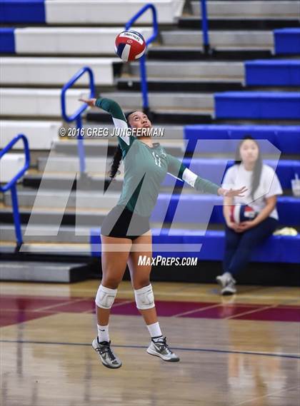 Thumbnail 3 in Palo Alto vs. Los Gatos (CIF CCS D1 Final) photogallery.