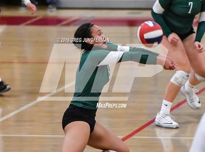 Thumbnail 1 in Palo Alto vs. Los Gatos (CIF CCS D1 Final) photogallery.