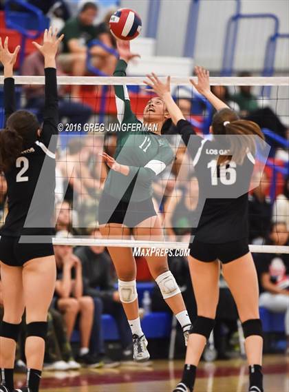 Thumbnail 1 in Palo Alto vs. Los Gatos (CIF CCS D1 Final) photogallery.