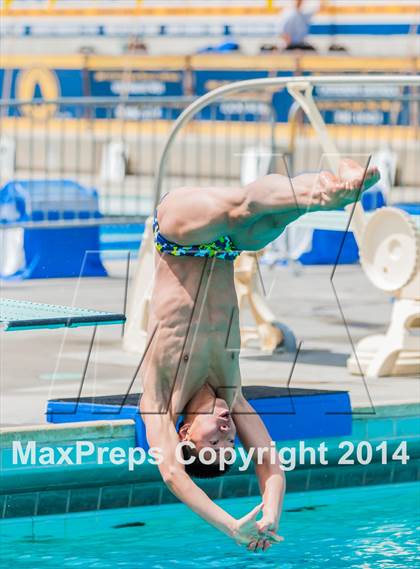 Thumbnail 1 in CIF CCS Boys Diving Championships photogallery.