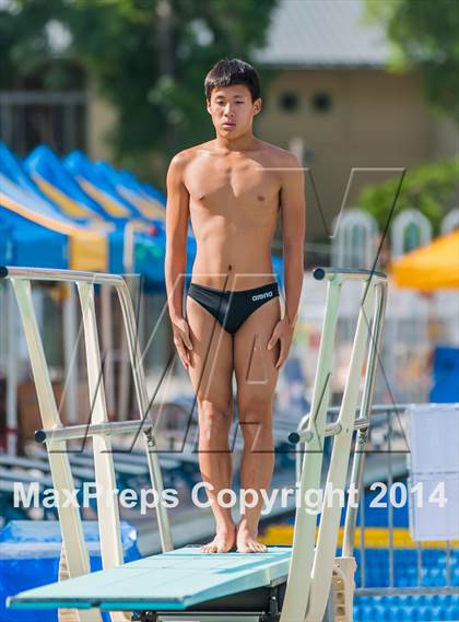 Thumbnail 1 in CIF CCS Boys Diving Championships photogallery.