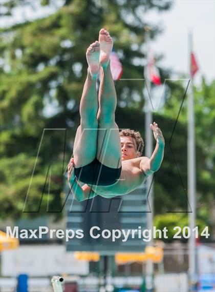 Thumbnail 2 in CIF CCS Boys Diving Championships photogallery.