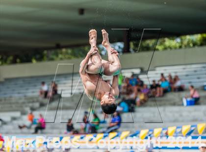 Thumbnail 3 in CIF CCS Boys Diving Championships photogallery.