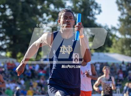 Thumbnail 1 in CIF State Championships (100m Finals) photogallery.