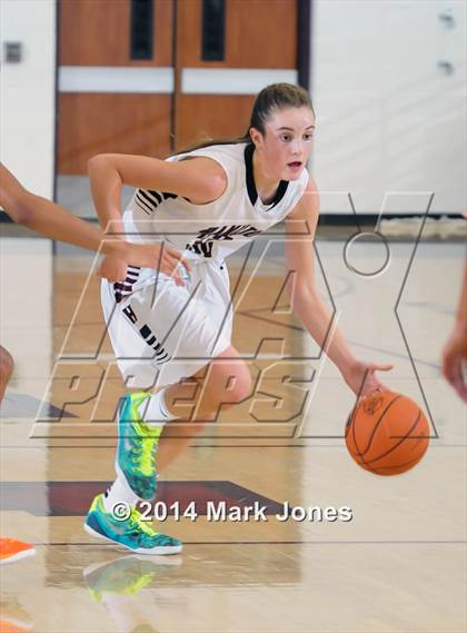 Thumbnail 2 in Blackman vs. Hamilton (Nike Tournament of Champions) photogallery.