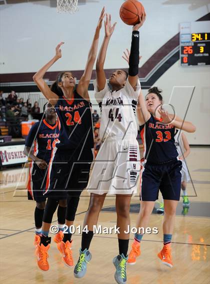 Thumbnail 2 in Blackman vs. Hamilton (Nike Tournament of Champions) photogallery.