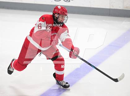 Thumbnail 3 in Greenwich @ Warde/Ludlowe photogallery.