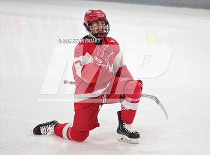 Thumbnail 3 in Greenwich @ Warde/Ludlowe photogallery.