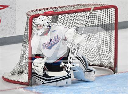 Thumbnail 3 in Greenwich @ Warde/Ludlowe photogallery.