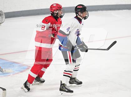 Thumbnail 3 in Greenwich @ Warde/Ludlowe photogallery.