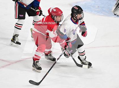 Thumbnail 3 in Greenwich @ Warde/Ludlowe photogallery.