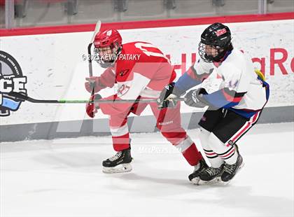 Thumbnail 2 in Greenwich @ Warde/Ludlowe photogallery.