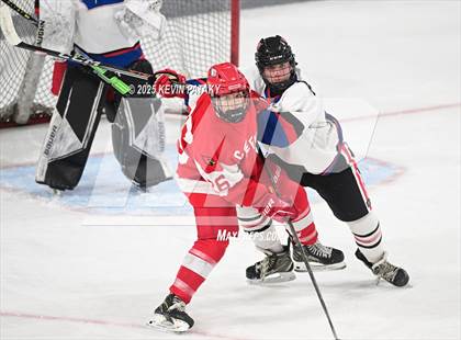 Thumbnail 1 in Greenwich @ Warde/Ludlowe photogallery.