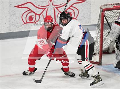Thumbnail 1 in Greenwich @ Warde/Ludlowe photogallery.