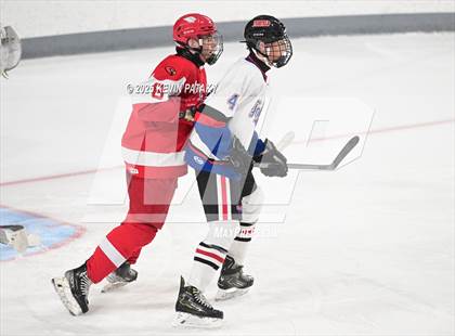 Thumbnail 2 in Greenwich @ Warde/Ludlowe photogallery.