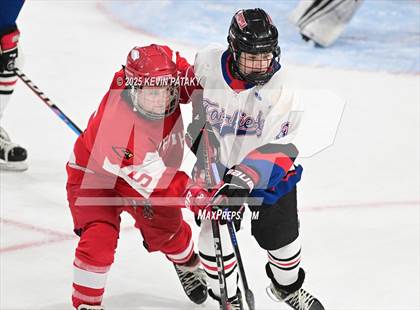 Thumbnail 1 in Greenwich @ Warde/Ludlowe photogallery.