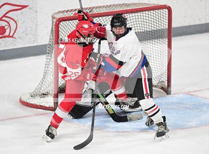 Thumbnail 3 in Greenwich @ Warde/Ludlowe photogallery.