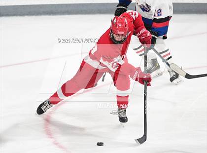 Thumbnail 1 in Greenwich @ Warde/Ludlowe photogallery.
