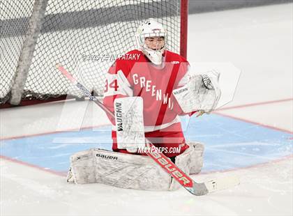 Thumbnail 3 in Greenwich @ Warde/Ludlowe photogallery.