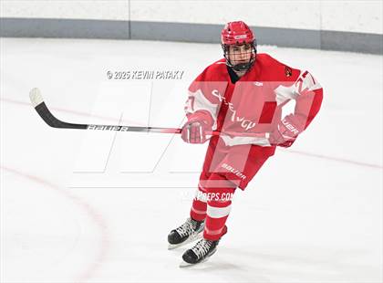 Thumbnail 3 in Greenwich @ Warde/Ludlowe photogallery.