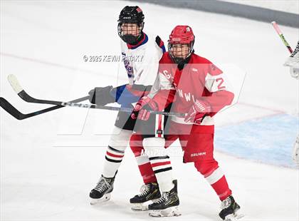 Thumbnail 1 in Greenwich @ Warde/Ludlowe photogallery.