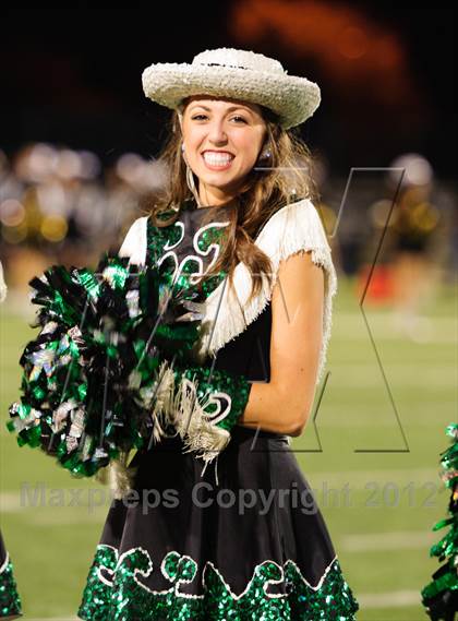 Thumbnail 3 in Fossil Ridge @ Carroll photogallery.